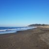 海 サーフ 釣り