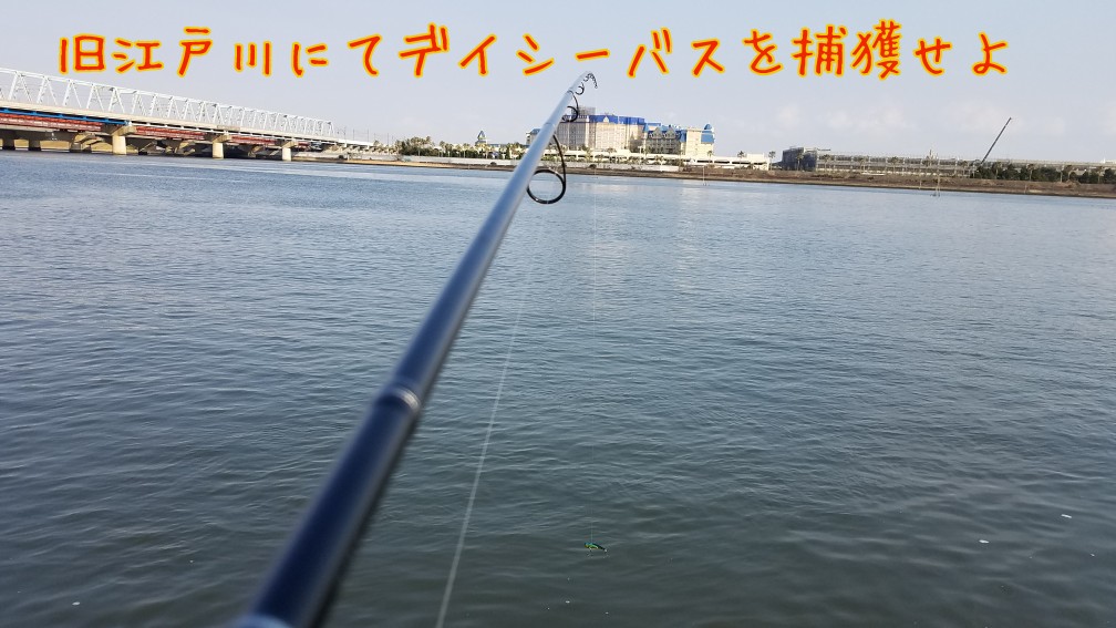 旧江戸川 シーバス釣り