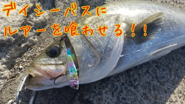 旧江戸川で5月の朝マズメにシーバス釣り 鉄板ルアーで潮位を攻略 海釣り初心者でも魚が釣れるコツと失敗しない観光ガイド